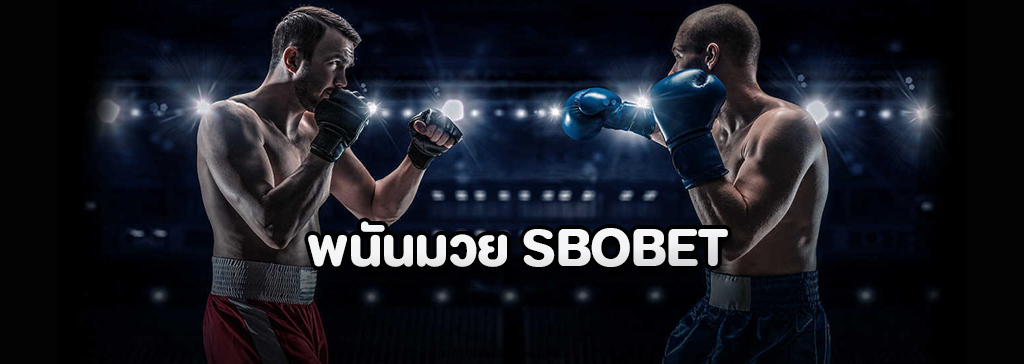 แทงมวยสากล วิธีการเดิมพันกีฬามวยไทยและมวยสากลบนเว็บ SBOBET